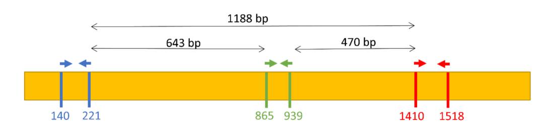 640.png
