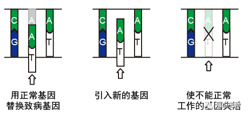 640.png 640.png