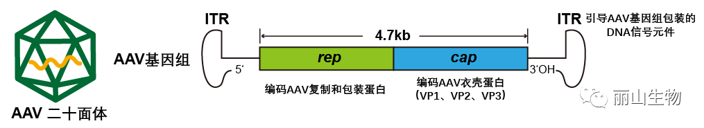 640.png 640.png