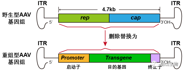640.png 640.png