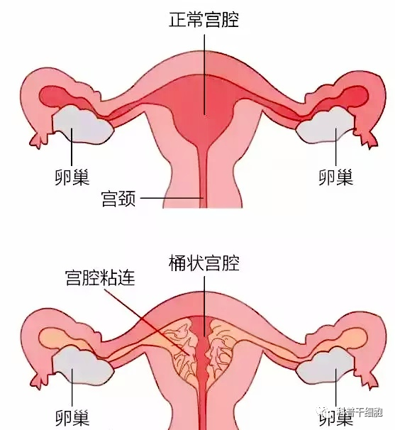 微信圖片_20231213163857.png