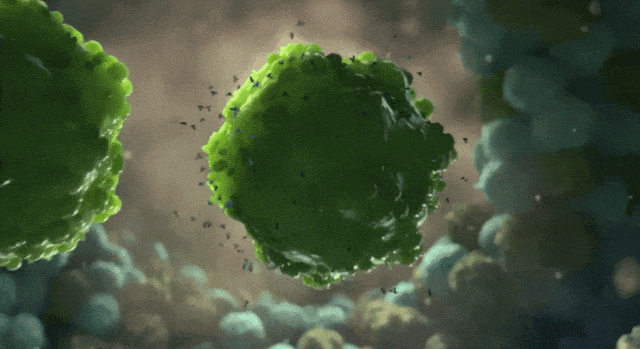 微信圖片_20231222110047.gif
