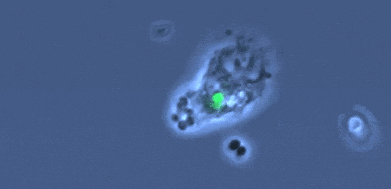 微信圖片_20231222110055.gif