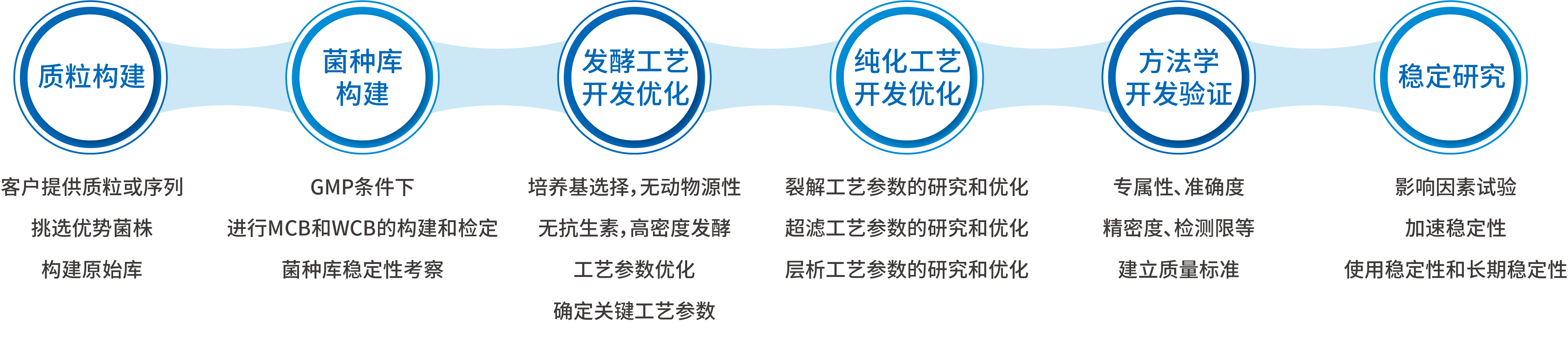 GMP質(zhì)粒工藝開發(fā)標(biāo)準(zhǔn)流程.png