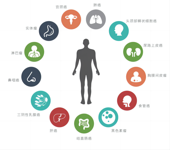 微信圖片_20250109182459.png