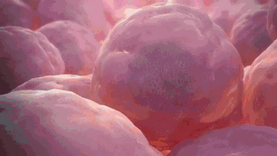 微信圖片_20250109203223.gif