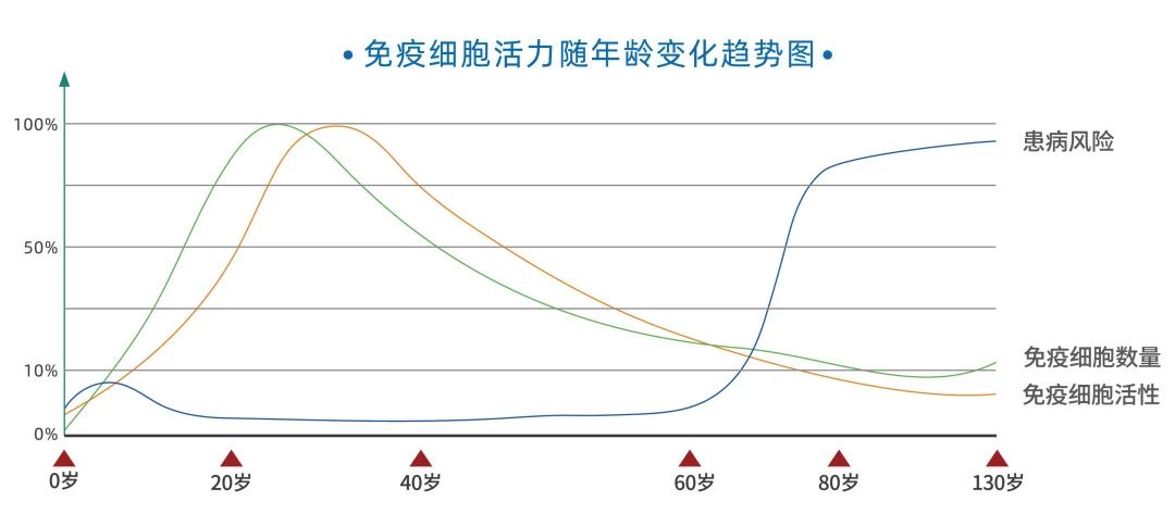 微信圖片_20250109203226.jpg