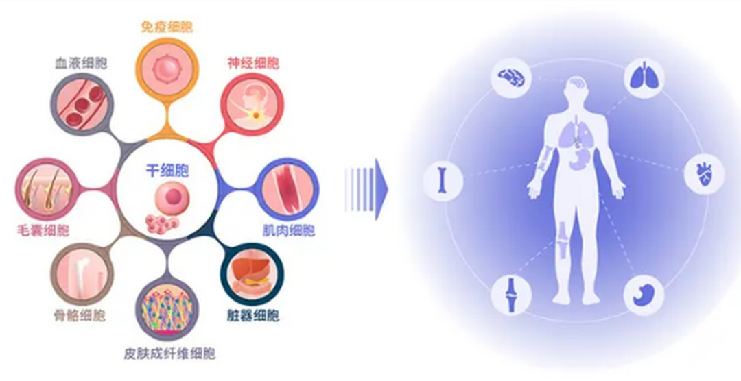 微信圖片_20250109205953.png