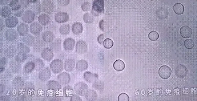 1740401828050.jpg