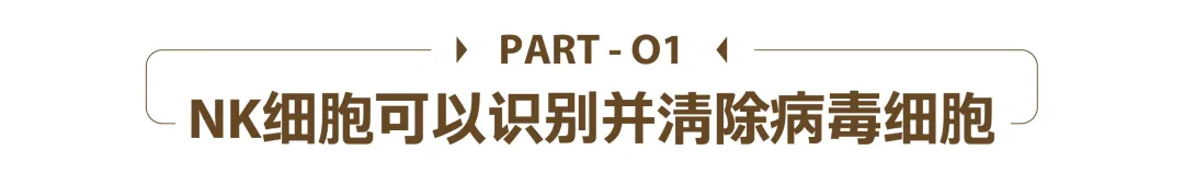 1740401833943.jpg