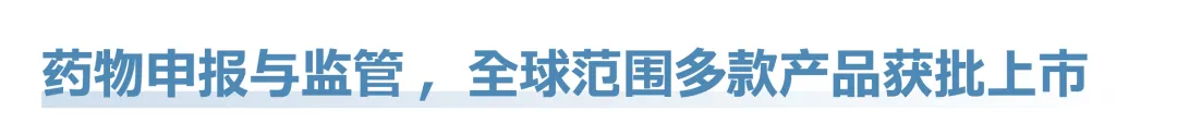1740402167785.jpg